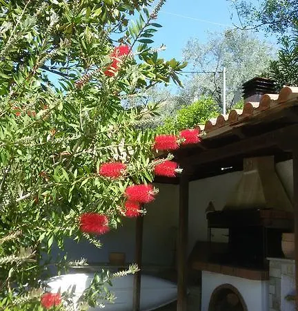 Stelios Seaside House *